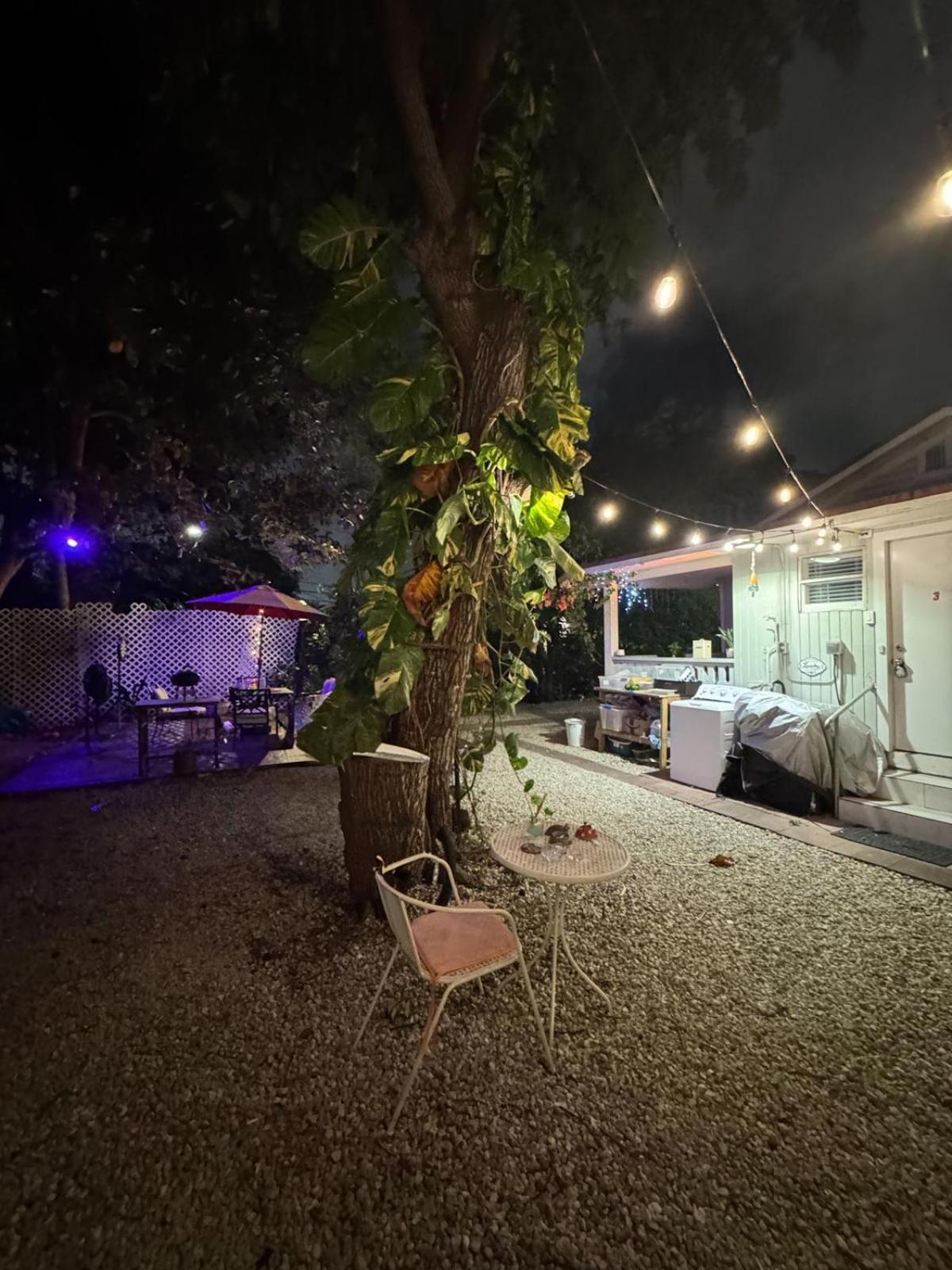 Deluxe Room In Best Location Miami In A 2 Bedrooms Unit - Parking, Laundry And Luggage Storage المظهر الخارجي الصورة